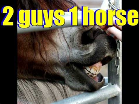 2guys1horse|The New Thing in Reaction video: “2 Guys 1 Horse” = NSFW .